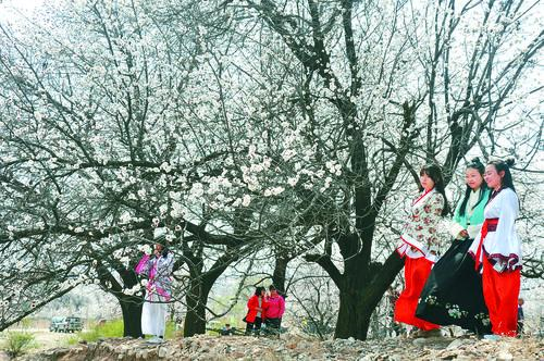 710公海线路检测全球节点图